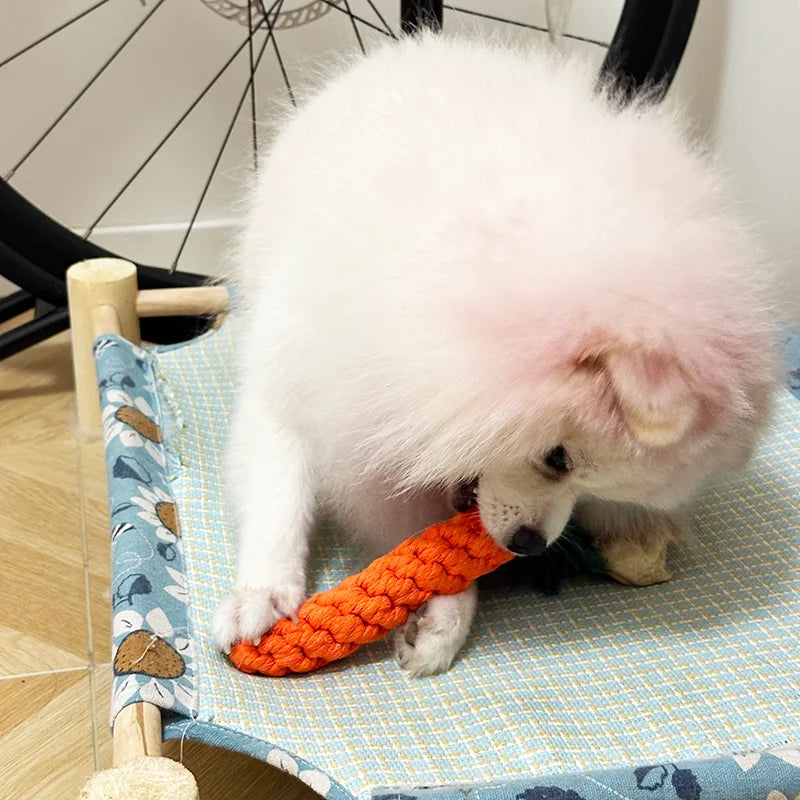 Carrot Rope Chew Toy