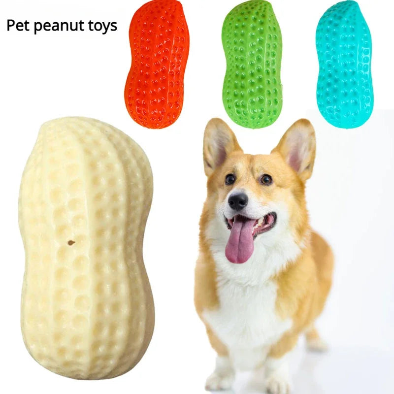 Squeaky Peanut Dog Chew Toy