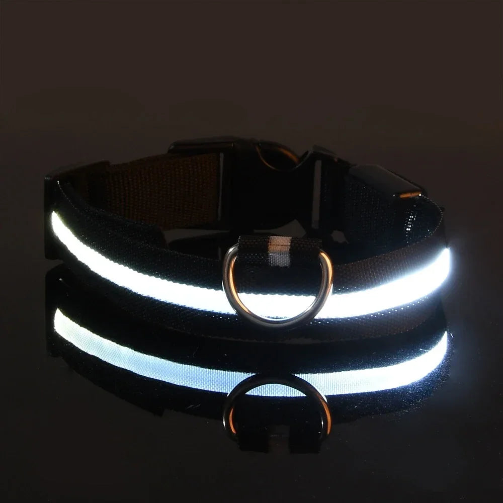 LED Glow Night Safety Leash