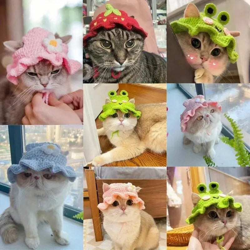 Knitted Pet Hat