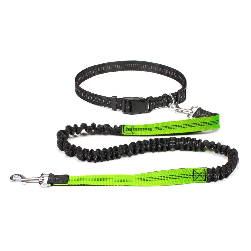 Hands-Free Running Leash
