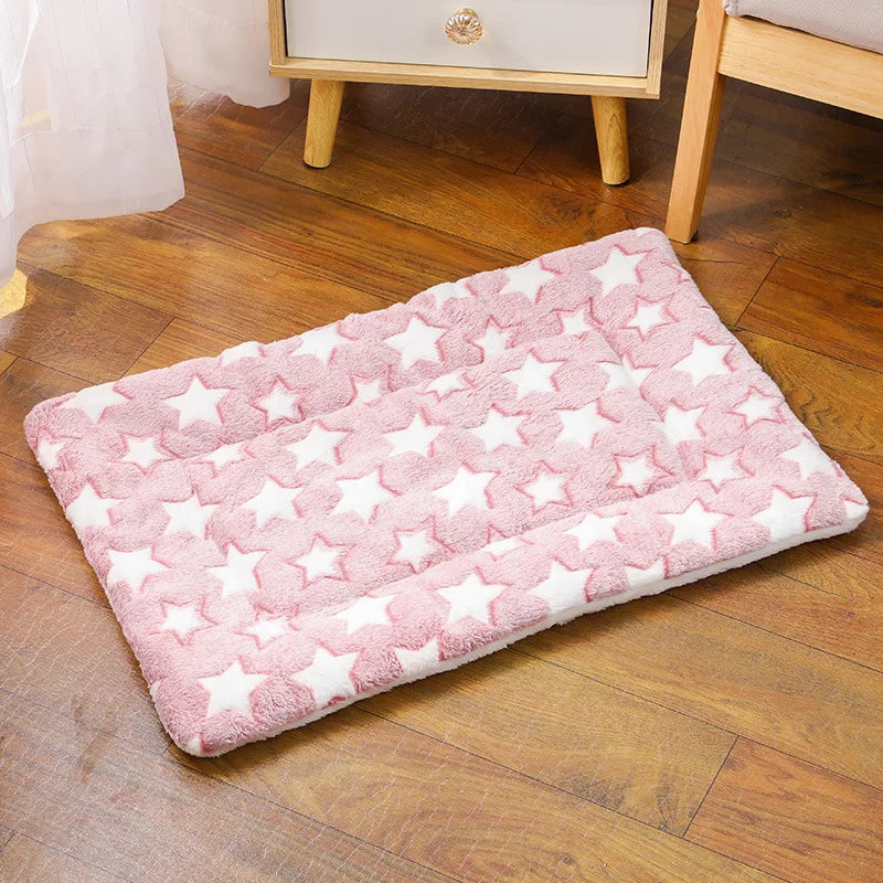Reversible Winter Pet Mat
