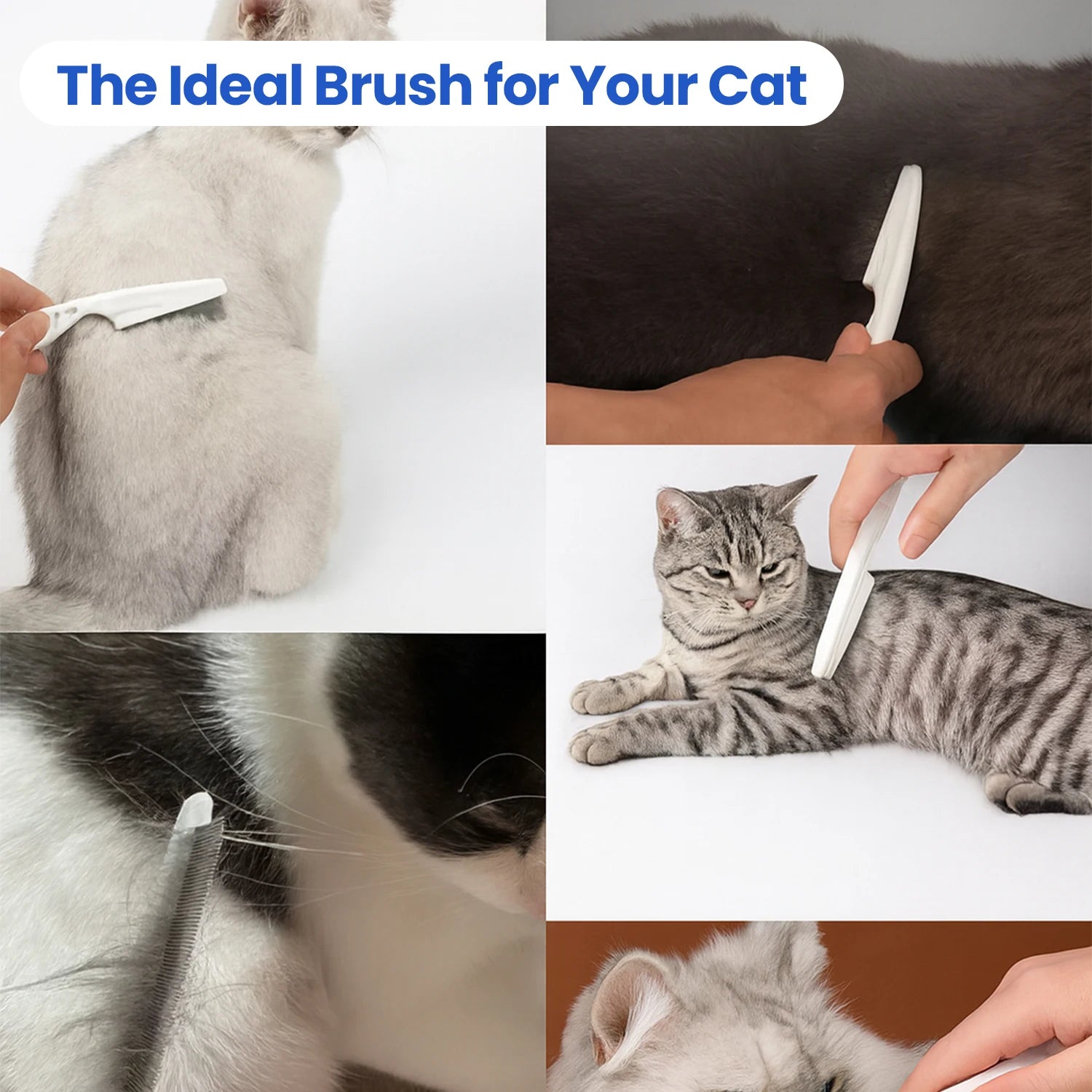 5-in-1 pet grooming set with comb, clippers, and gloves