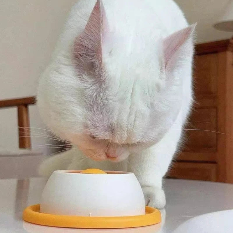 Slow-Feed Cat Bowl