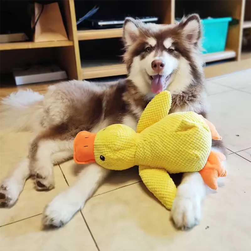 Plush Duck Interactive Dog Toy
