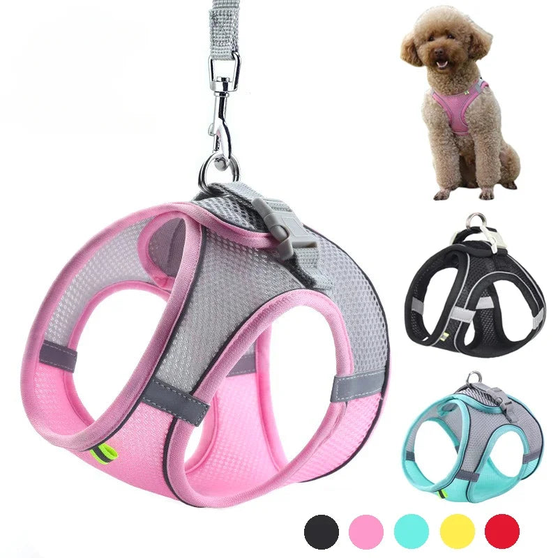 Puppy Vest Harness Set