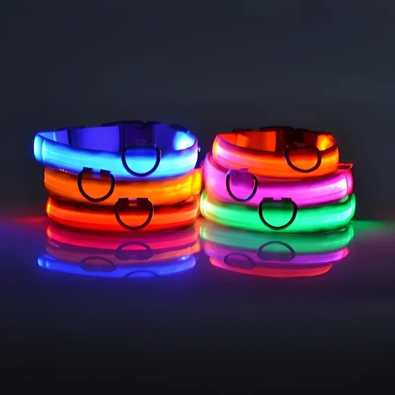 LED Glow Night Safety Leash
