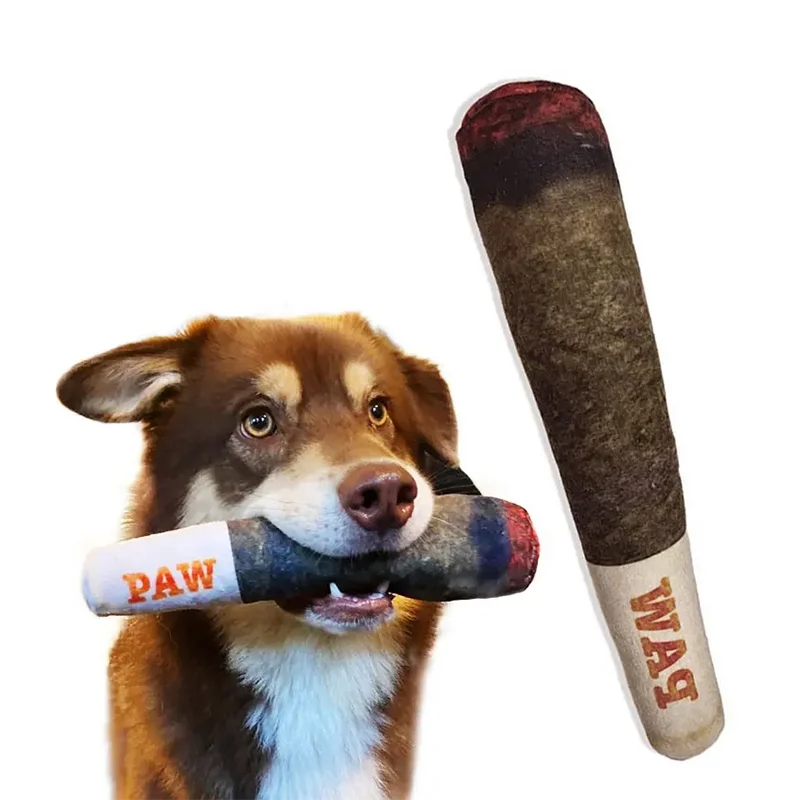 Plush Squeaky Dog Toy
