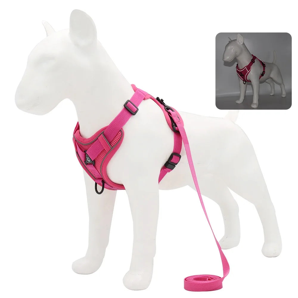 Small Dog Harness Set
