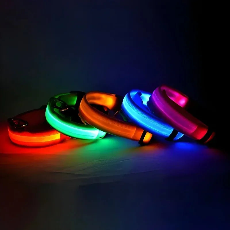 LED Glow Night Safety Leash