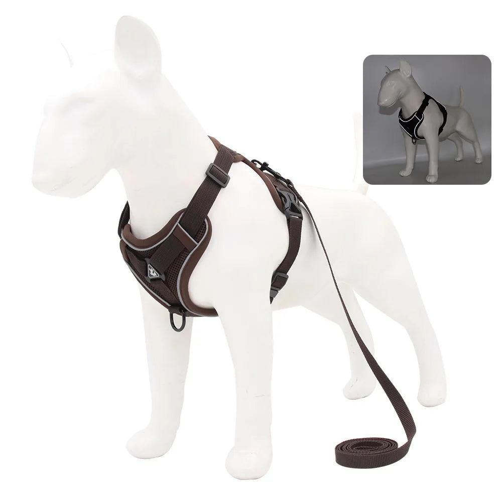 Small Dog Harness Set