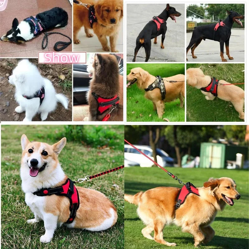 Reinforced Dog Vest Harness