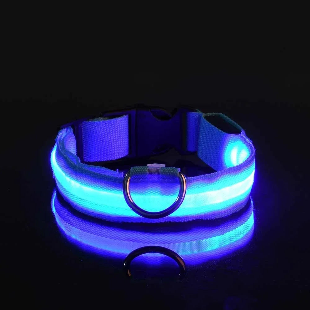 LED Glow Night Safety Leash