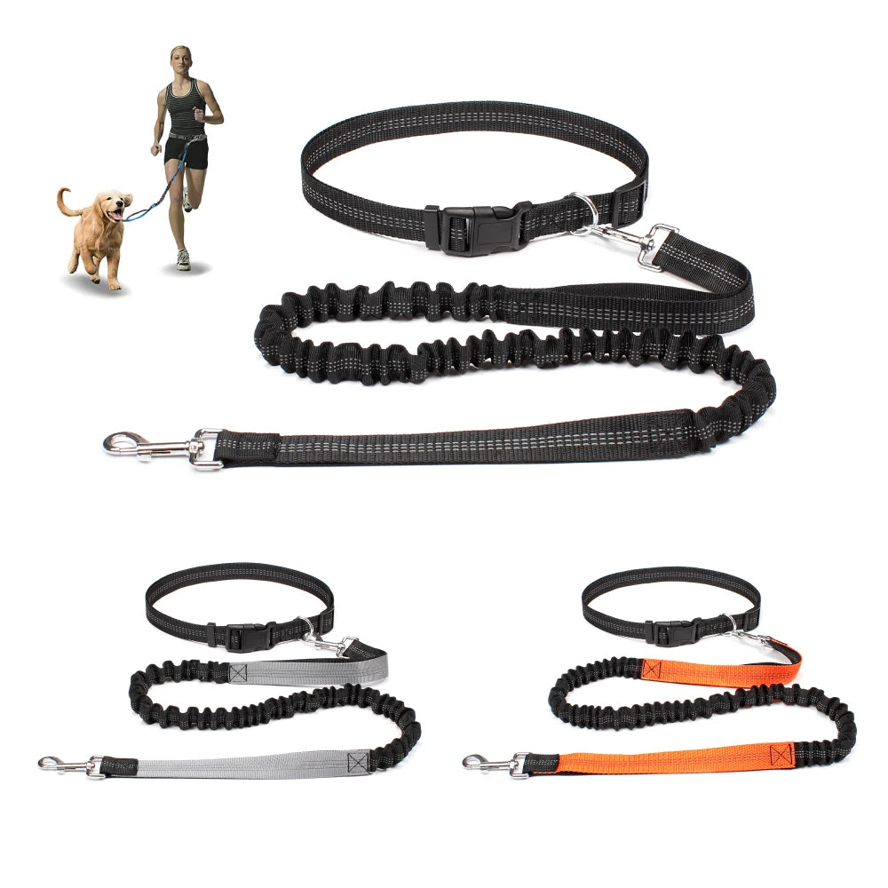 Hands-Free Running Leash