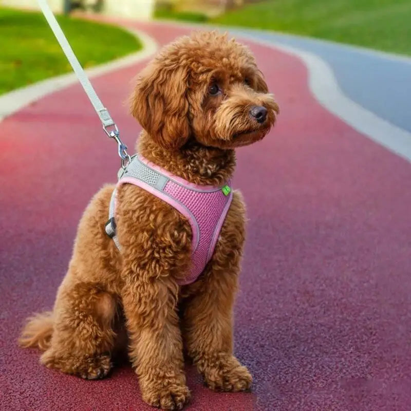 Reflective Mesh Pet Harness