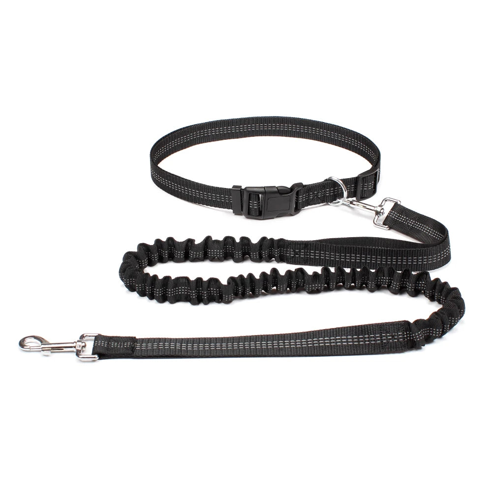 Hands-Free Running Leash