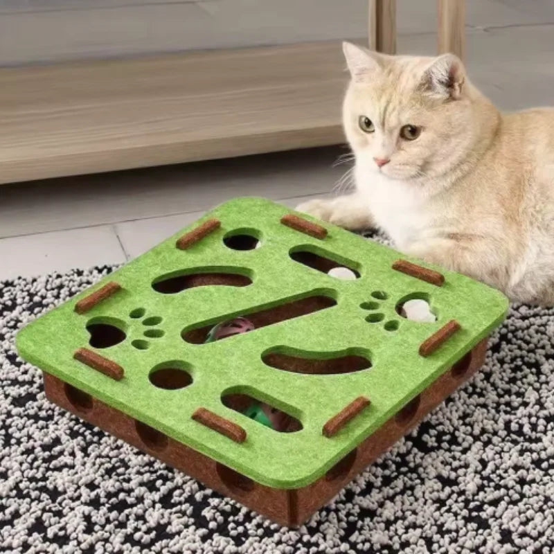 Interactive Cat Puzzle Box
