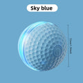 ETPU Dog Bite-Resistant Ball Round Electric Non-Toxic Molar Ball Training Pet Dog Toy Ball Food Grade Certification