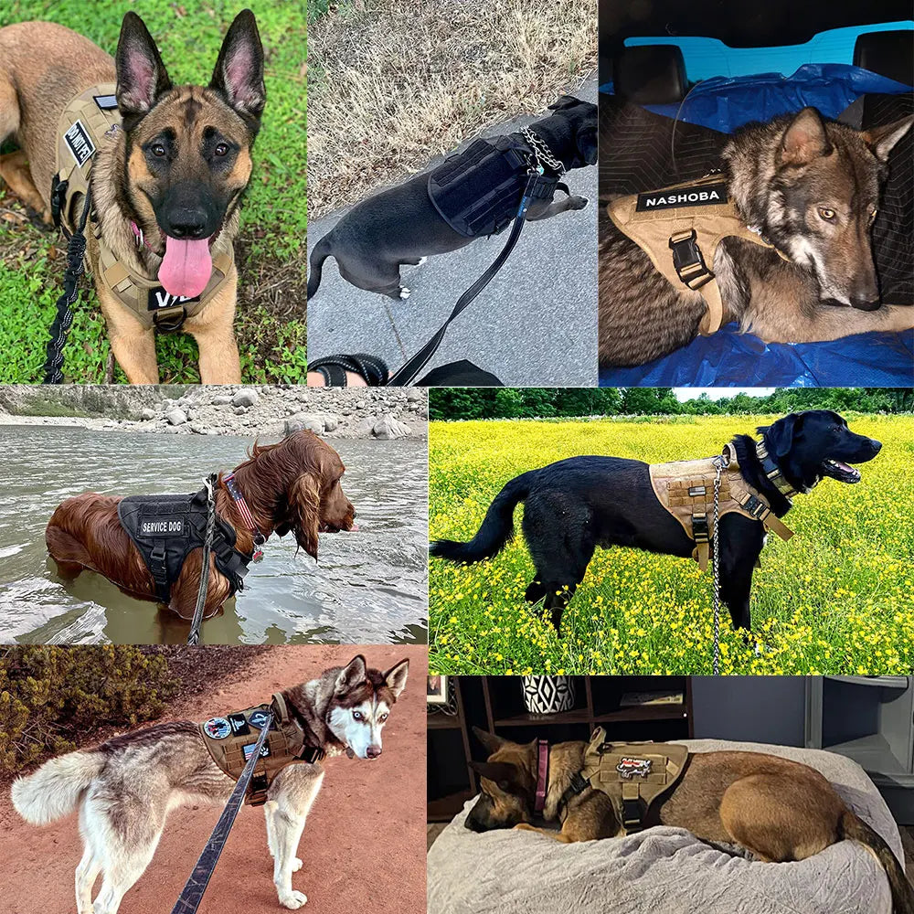 Tactical Training Harness