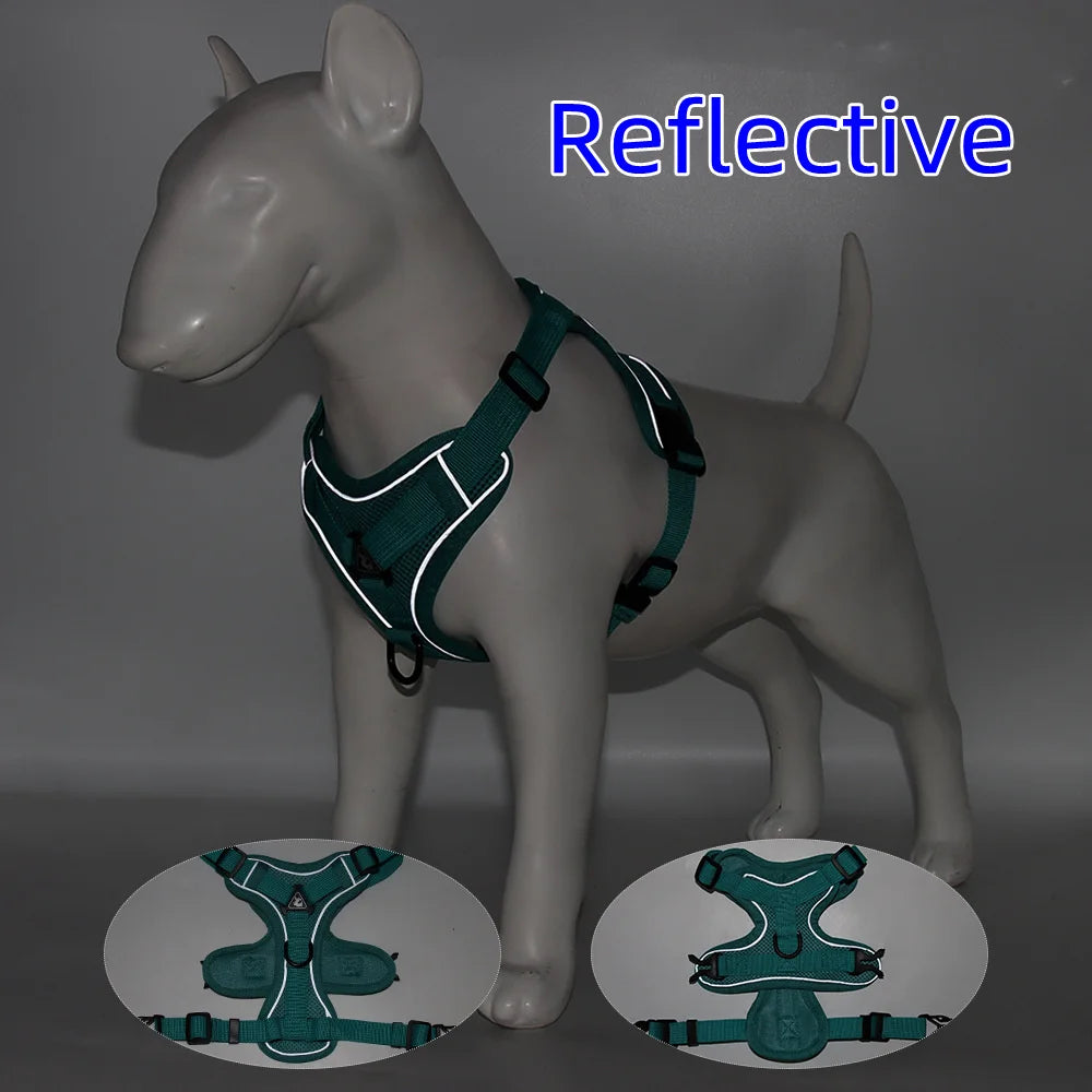 Small Dog Harness Set
