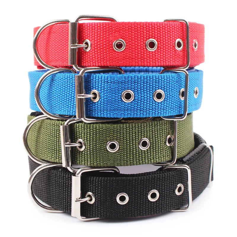 Solid color nylon dog collar