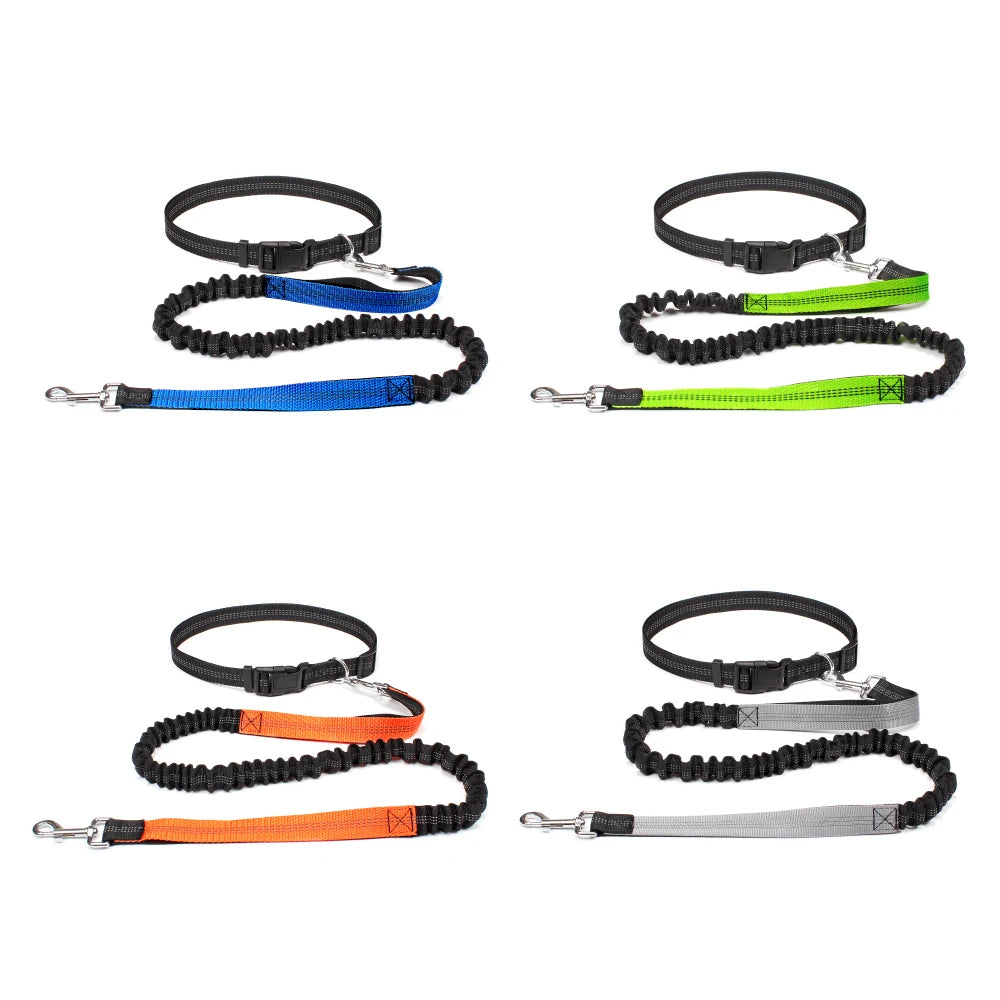 Hands-Free Running Leash
