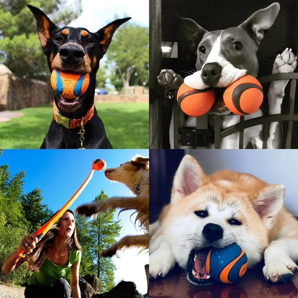 Bouncy Dog Fetch Ball