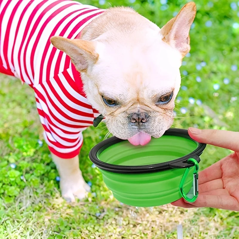 Collapsible Silicone Travel Bowl