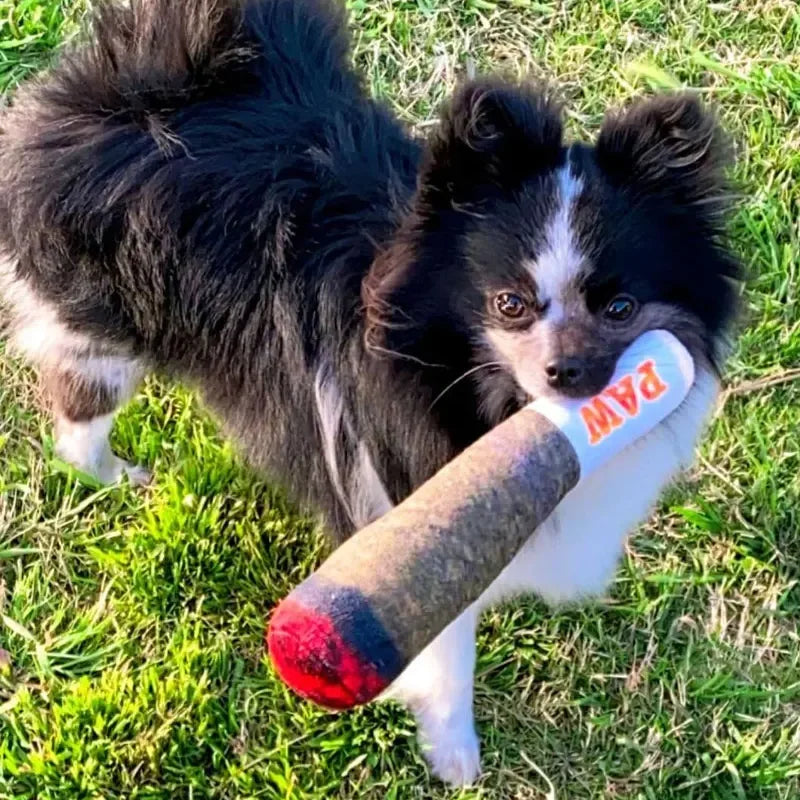 Plush Squeaky Dog Toy