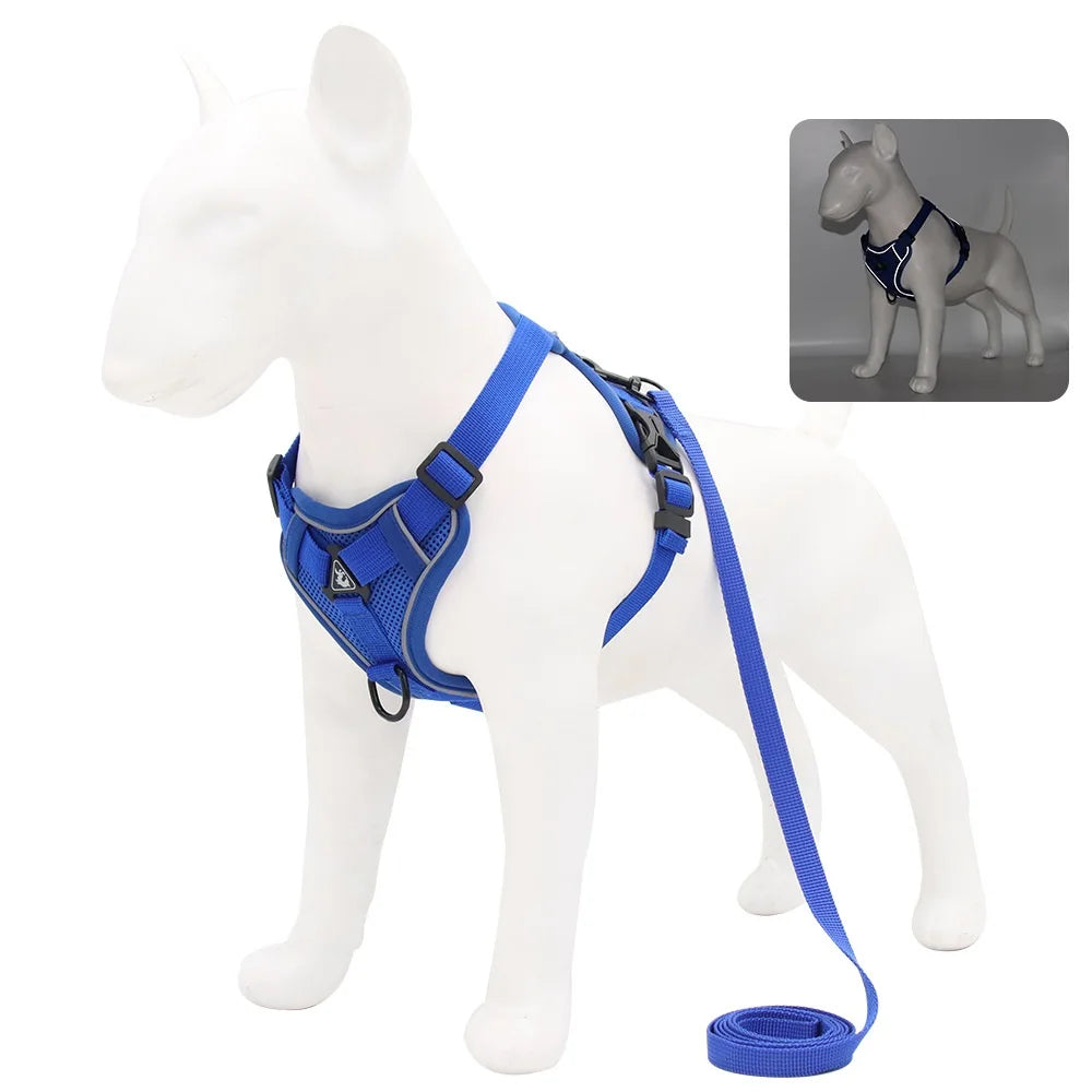 Small Dog Harness Set