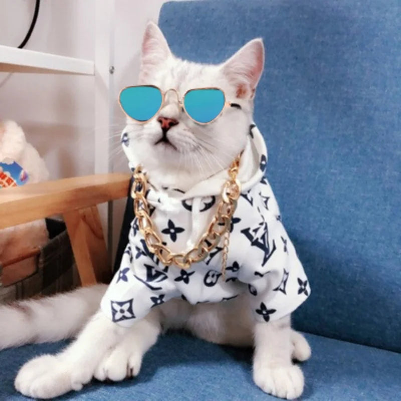 Pet Sunglasses Photo Prop