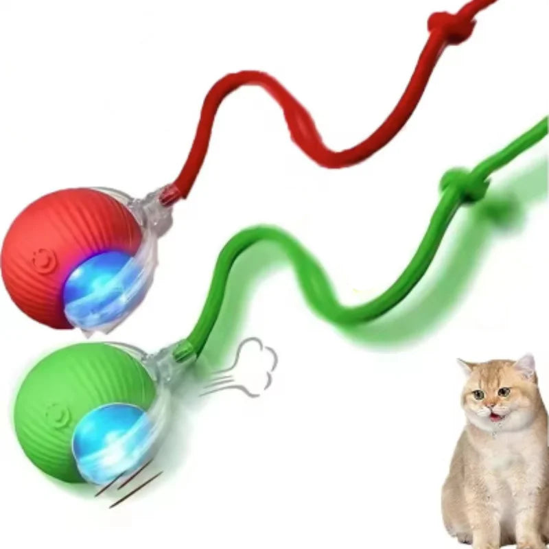 ETPU Dog Bite-Resistant Ball Round Electric Non-Toxic Molar Ball Training Pet Dog Toy Ball Food Grade Certification