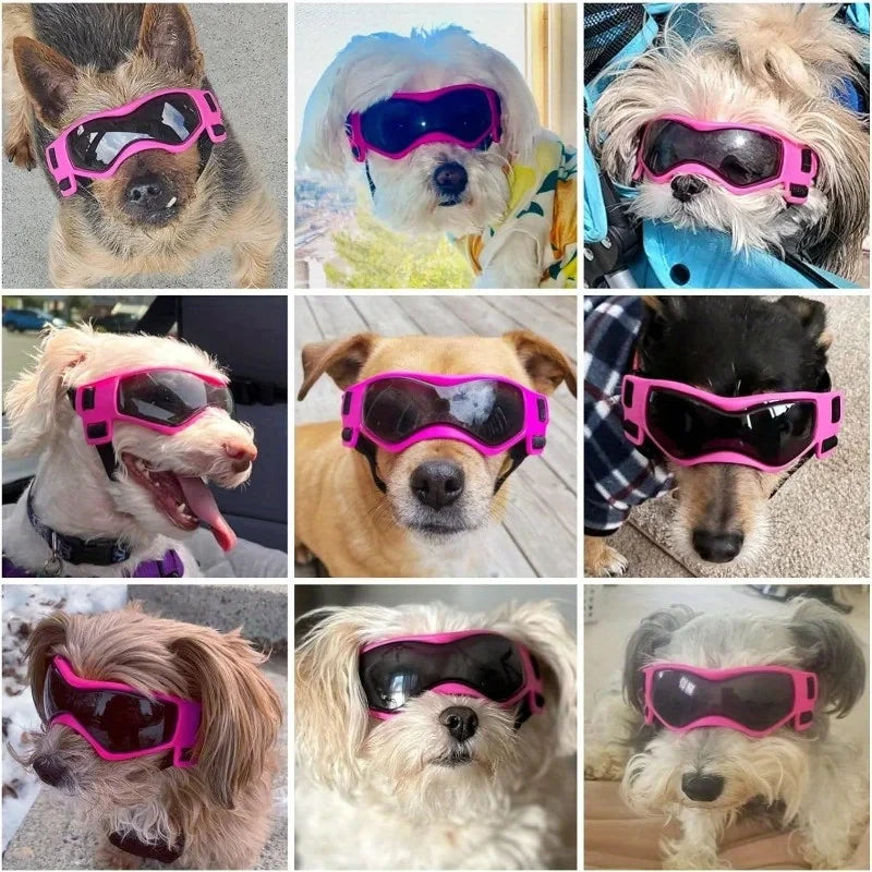 UV Protective Pet Goggles