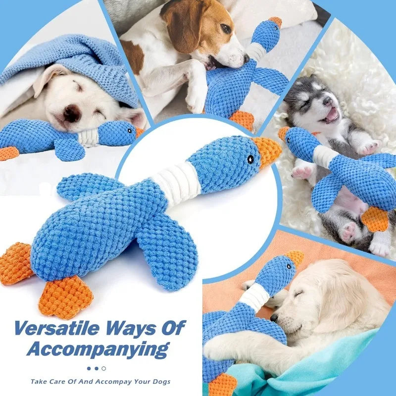 Interactive Plush Chew Toy