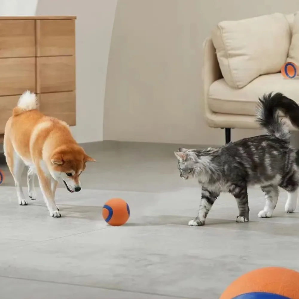 Bouncy Dog Fetch Ball