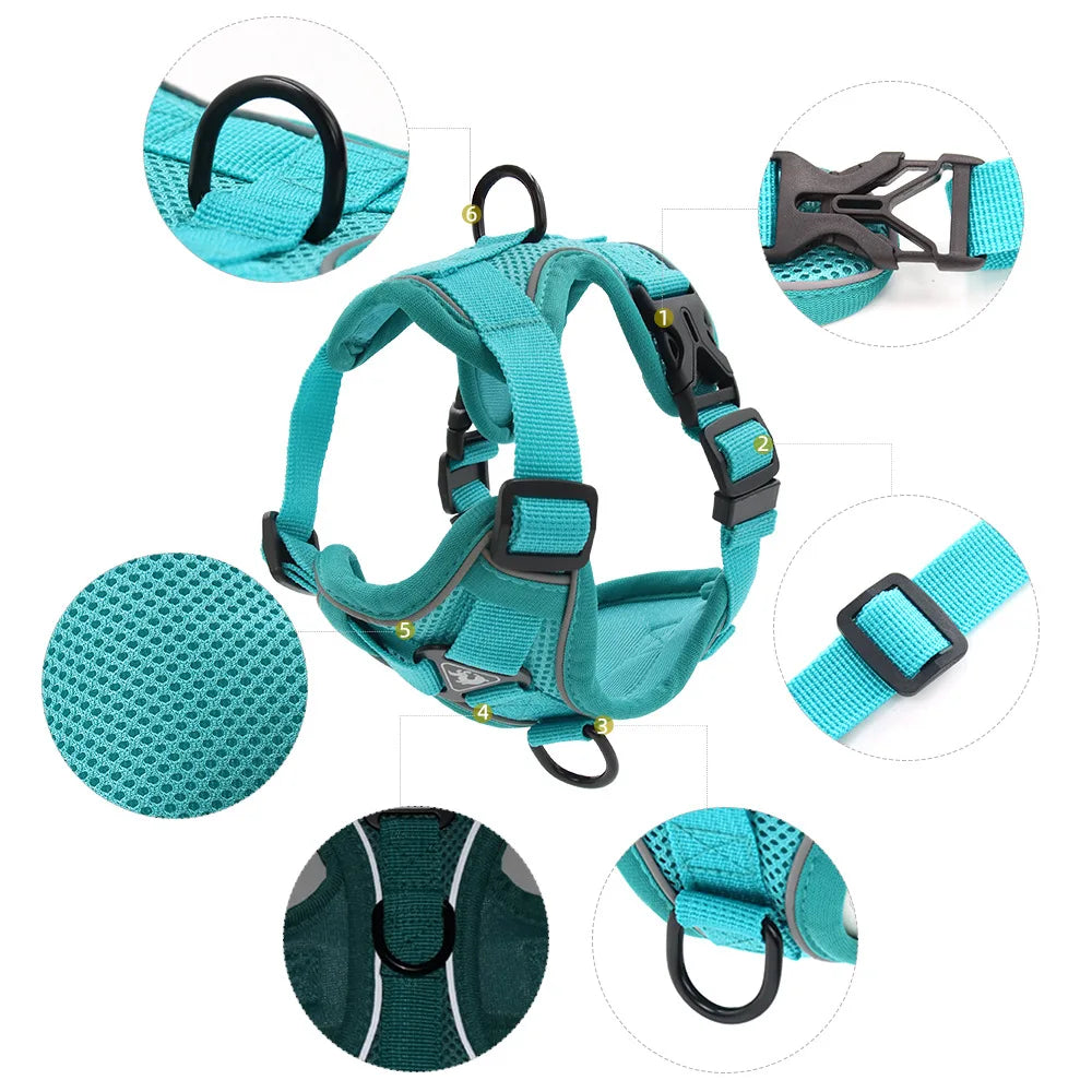 Small Dog Harness Set