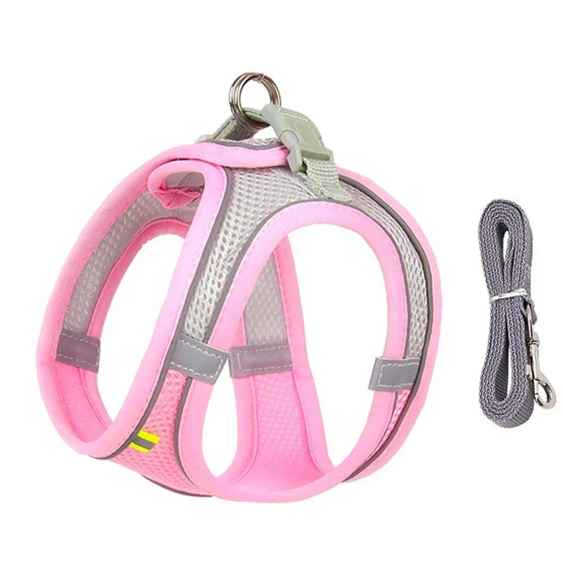 Puppy Vest Harness Set