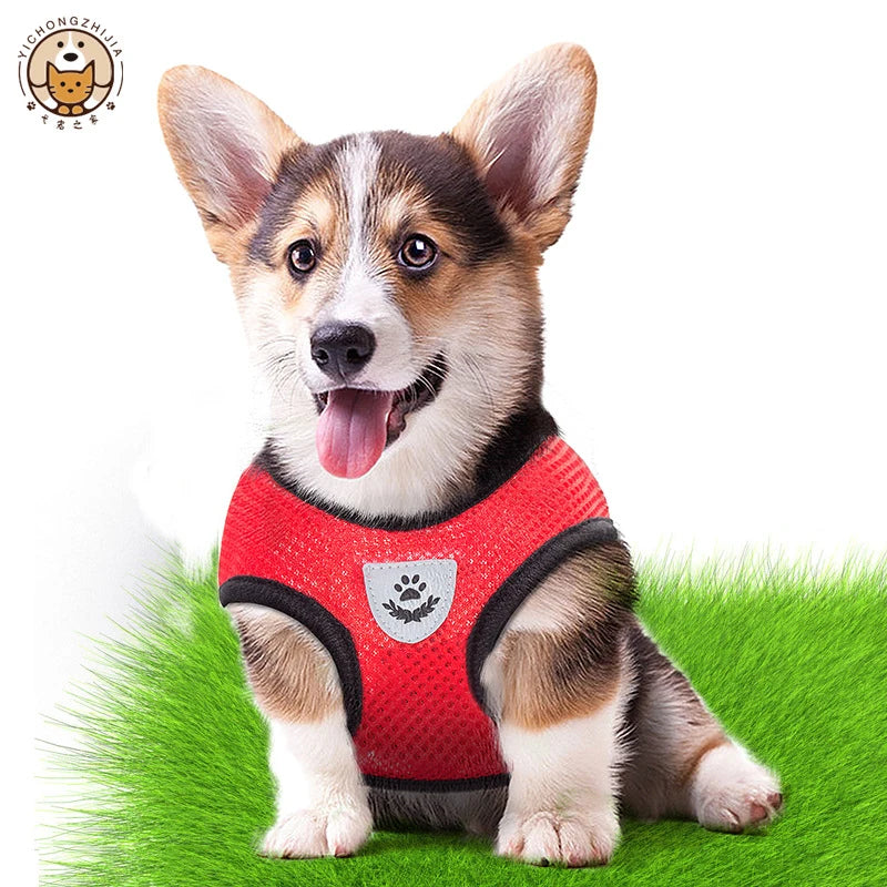 Adjustable Mesh Dog Harness