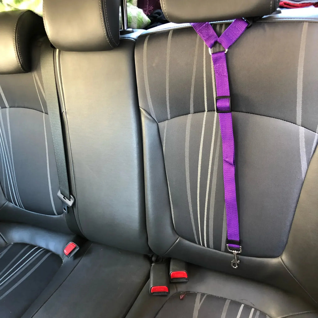 2-in-1 Pet Seat Belt