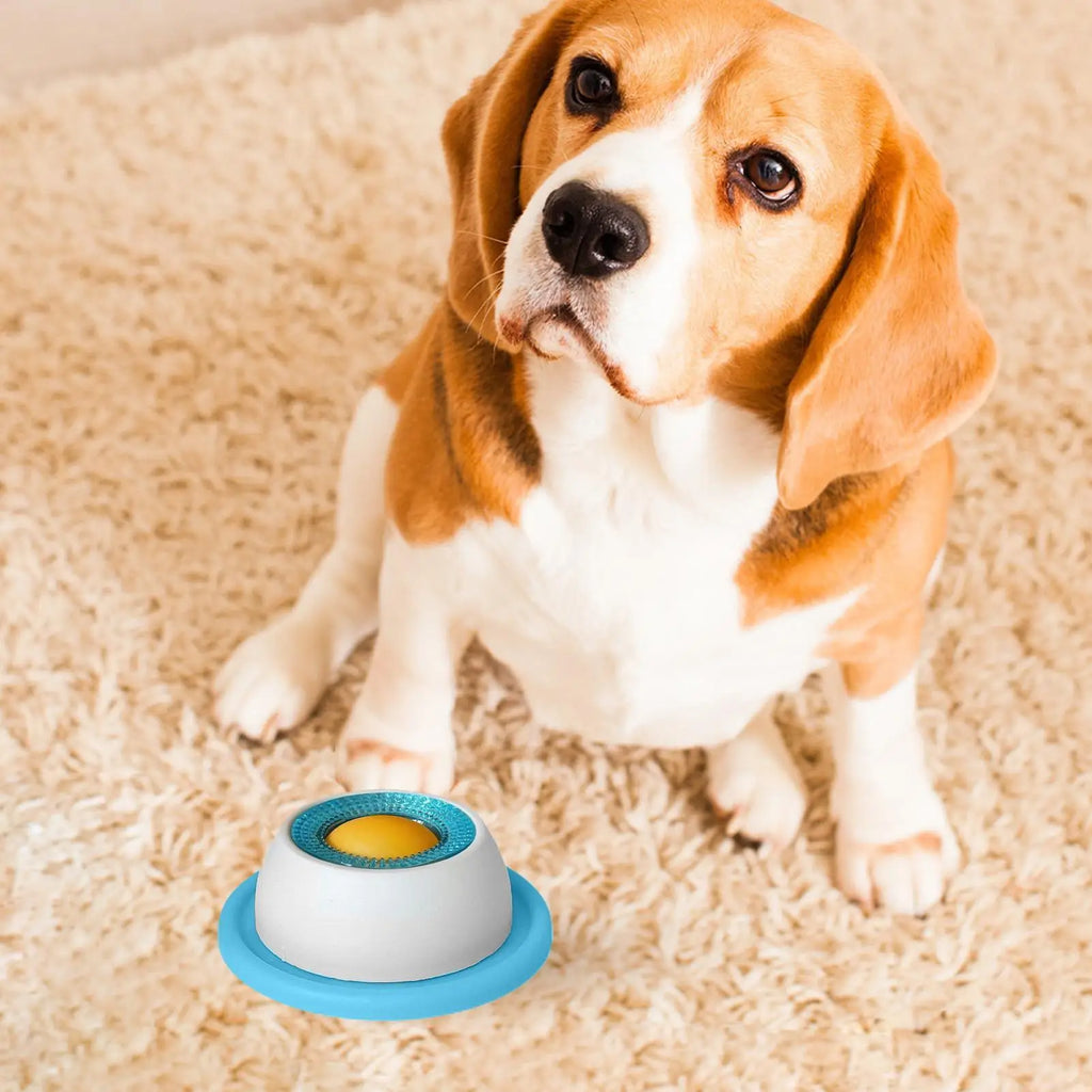 Slow-Feed Puzzle Toy
