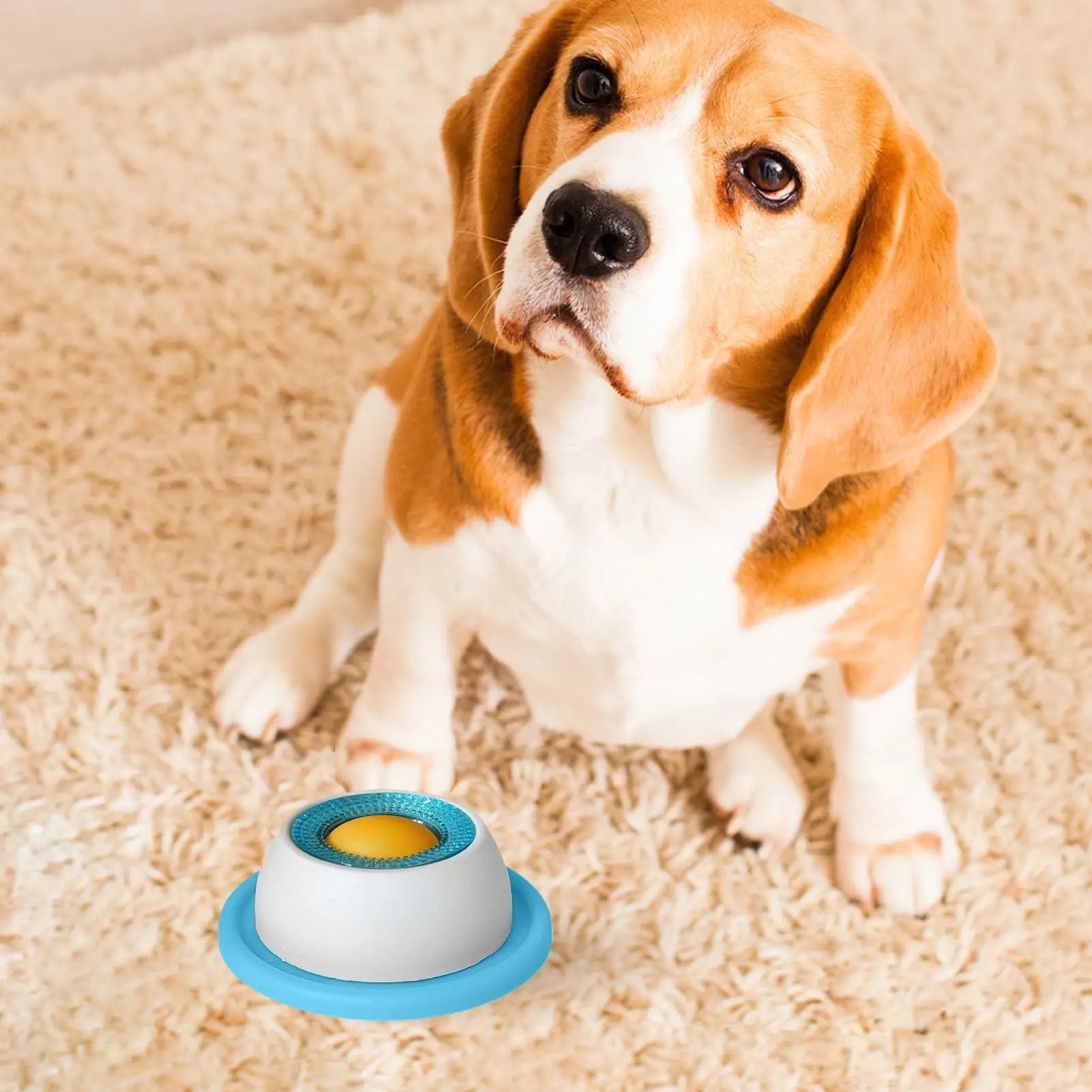 Slow-Feed Puzzle Toy