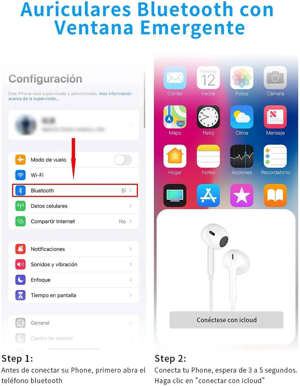 Wired Lightning Earphones