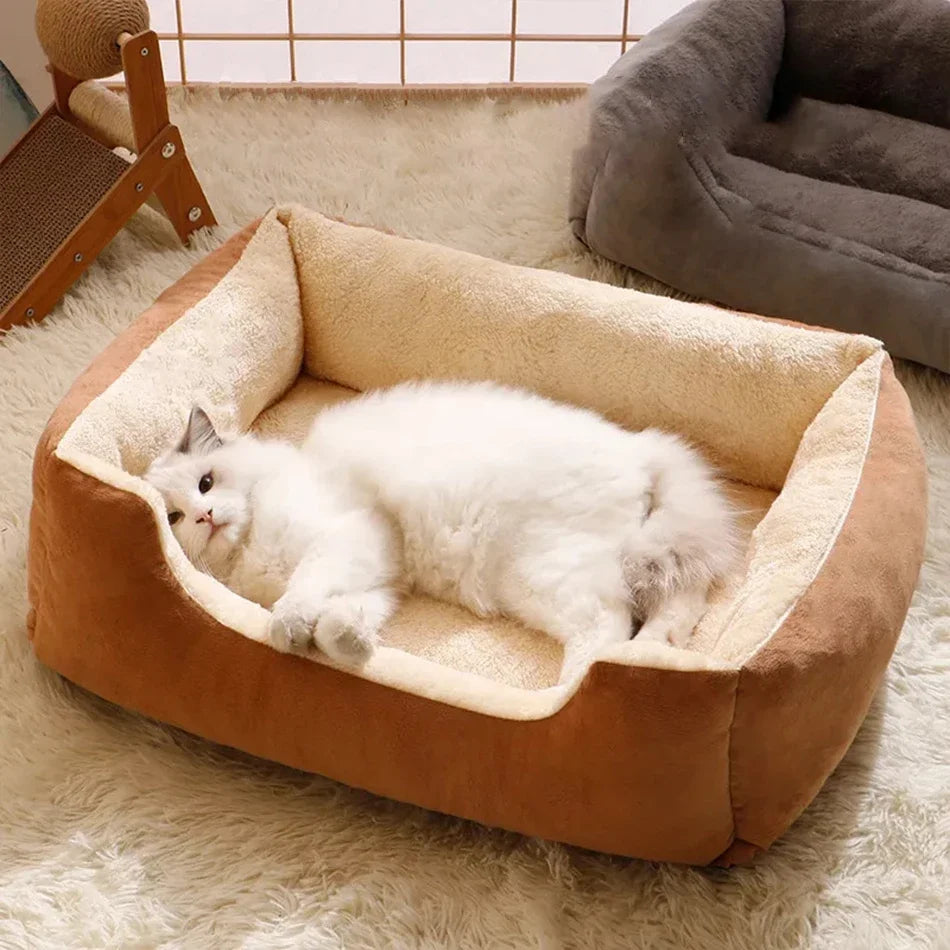 Cushioned Pet Basket Bed