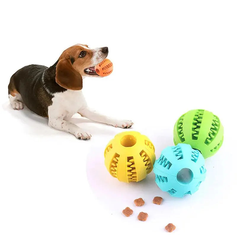 Bite-Resistant Dog Treat Ball