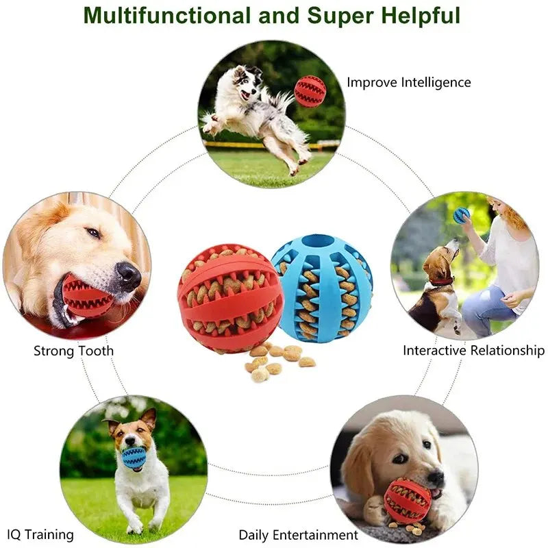 Bite-Resistant Dog Treat Ball
