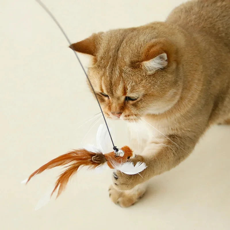 Feather Wand Cat Teaser