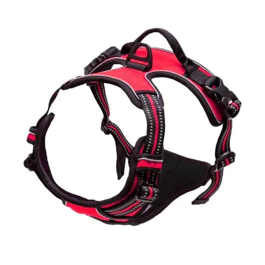 Leather Collar & Harness Set
