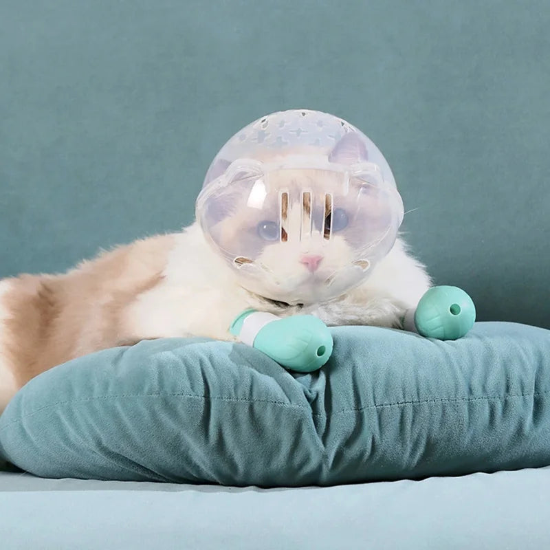 Cat Recovery Cone & Shoes
