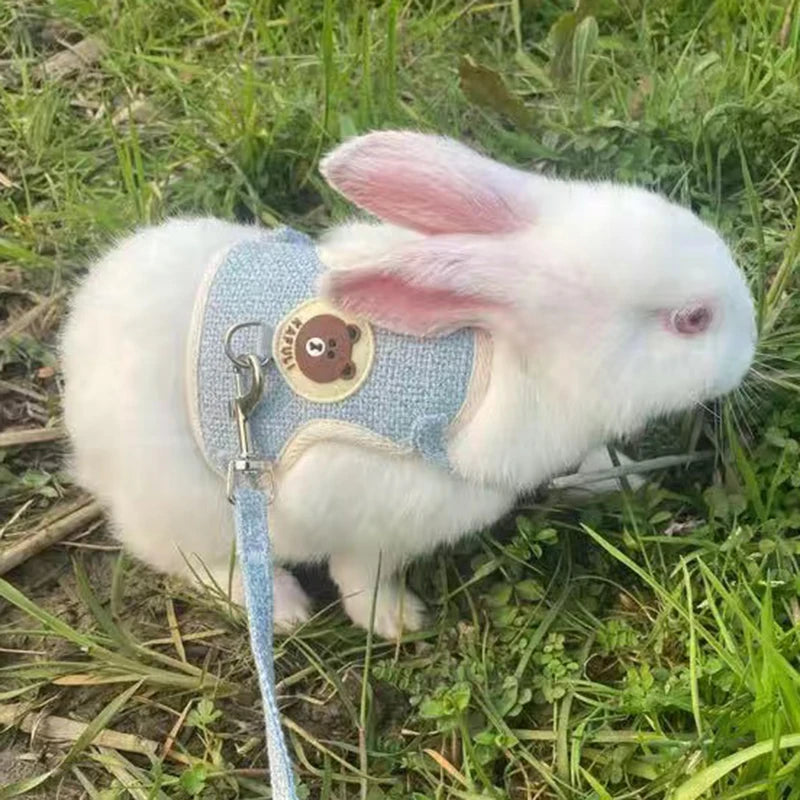 Rabbit Vest Harness Set