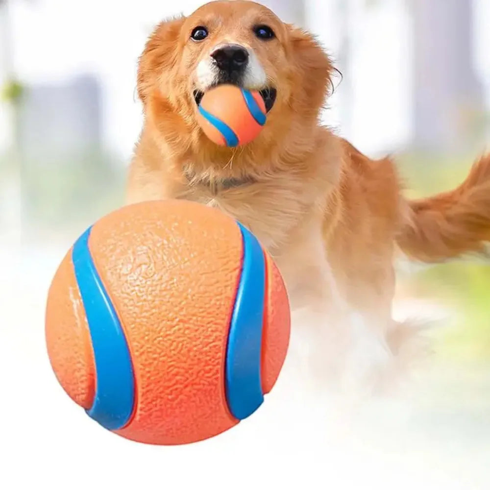 Bouncy Dog Fetch Ball